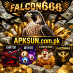 FALCON666 Game download and and earn real money for free and visit APKSUN.com.pk